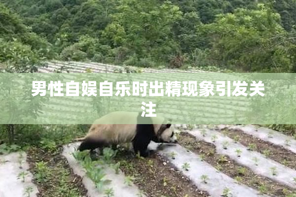 男性自娱自乐时出精现象引发关注