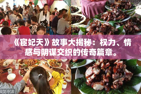 《宦妃天》故事大揭秘：权力、情感与阴谋交织的传奇篇章。