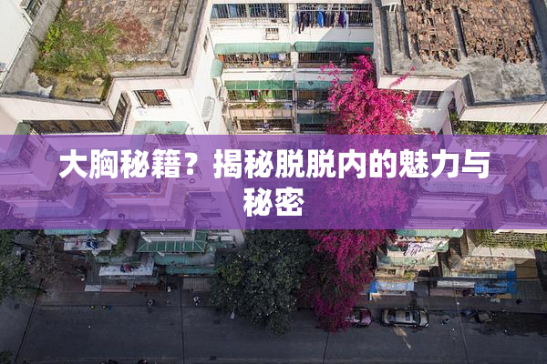 大胸秘籍？揭秘脱脱内的魅力与秘密