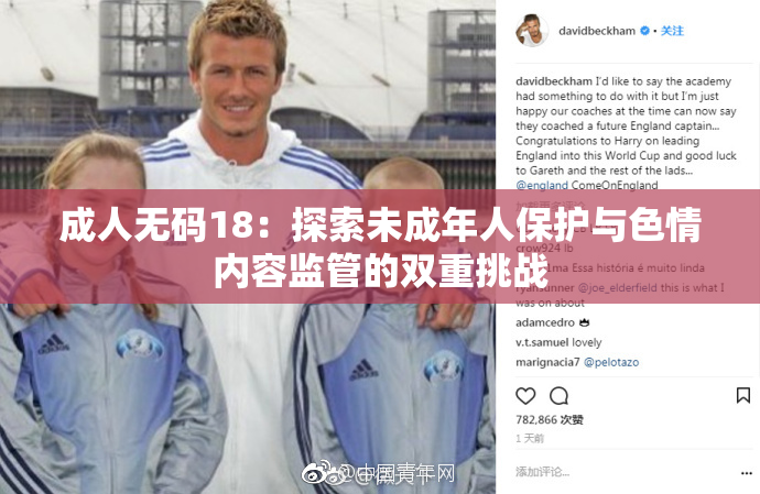 成人无码18：探索未成年人保护与色情内容监管的双重挑战