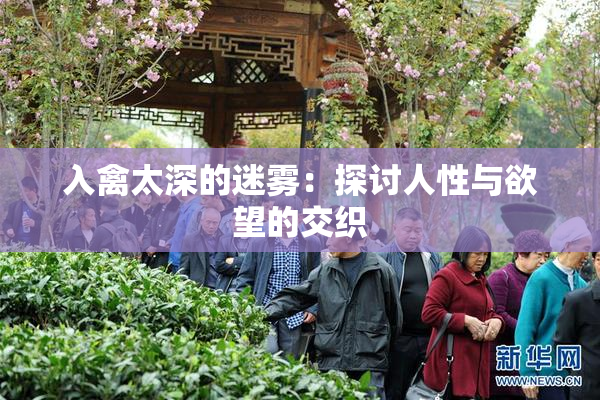 入禽太深的迷雾：探讨人性与欲望的交织
