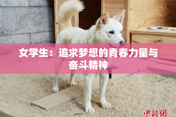 女学生：追求梦想的青春力量与奋斗精神