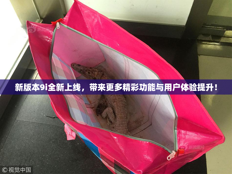 新版本9i全新上线，带来更多精彩功能与用户体验提升！