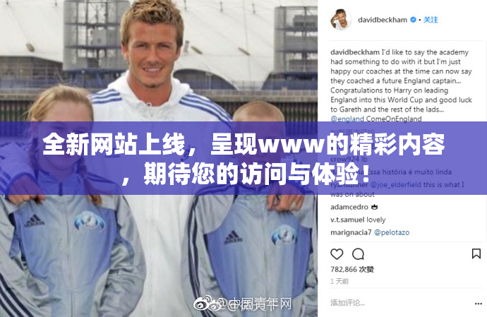 全新网站上线，呈现www的精彩内容，期待您的访问与体验！