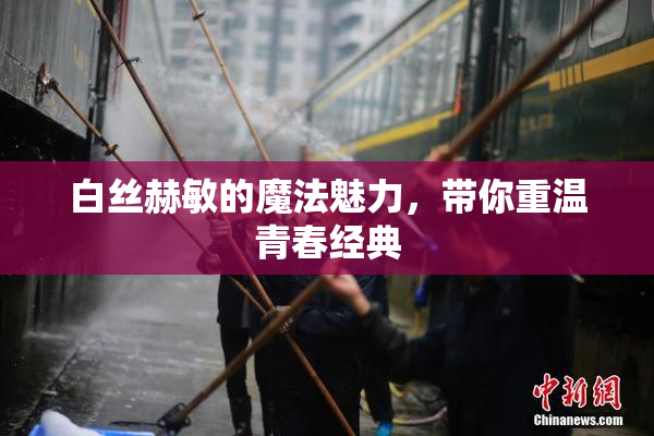 白丝赫敏的魔法魅力，带你重温青春经典