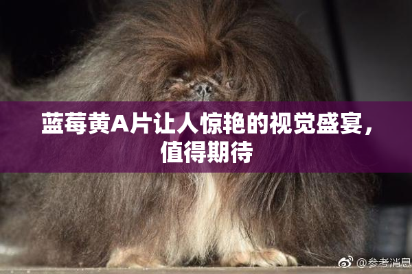 蓝莓黄A片让人惊艳的视觉盛宴，值得期待