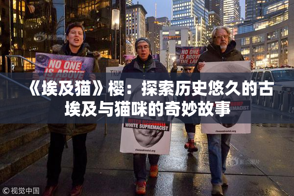 《埃及猫》樱：探索历史悠久的古埃及与猫咪的奇妙故事