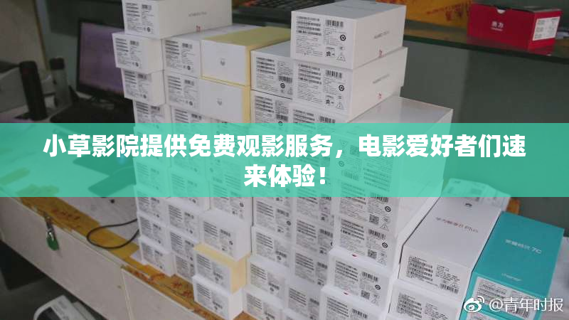 小草影院提供免费观影服务，电影爱好者们速来体验！