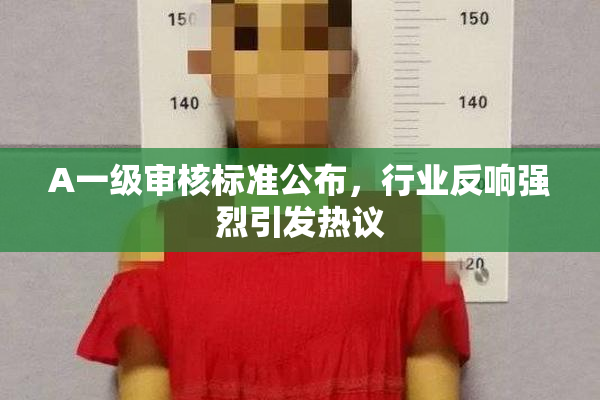A一级审核标准公布，行业反响强烈引发热议