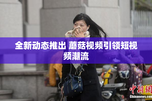 全新动态推出 蘑菇视频引领短视频潮流