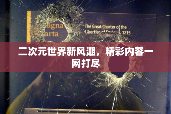 二次元世界新风潮，精彩内容一网打尽