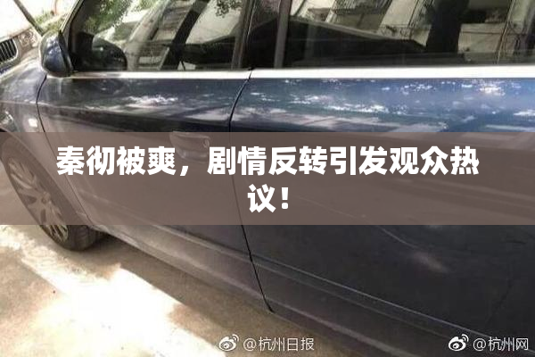秦彻被爽，剧情反转引发观众热议！