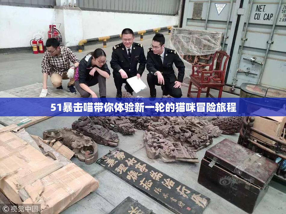 51暴击喵带你体验新一轮的猫咪冒险旅程