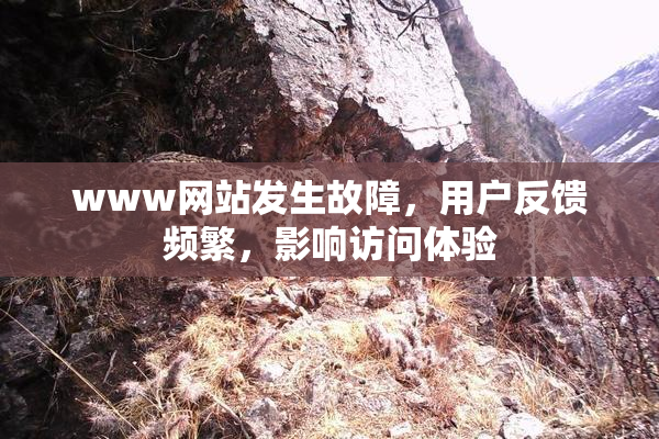 www网站发生故障，用户反馈频繁，影响访问体验