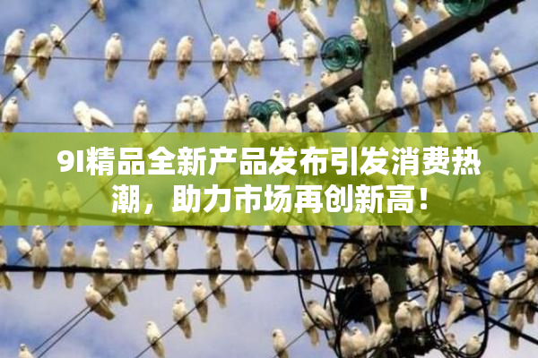 9I精品全新产品发布引发消费热潮，助力市场再创新高！