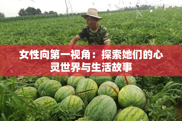 女性向第一视角：探索她们的心灵世界与生活故事