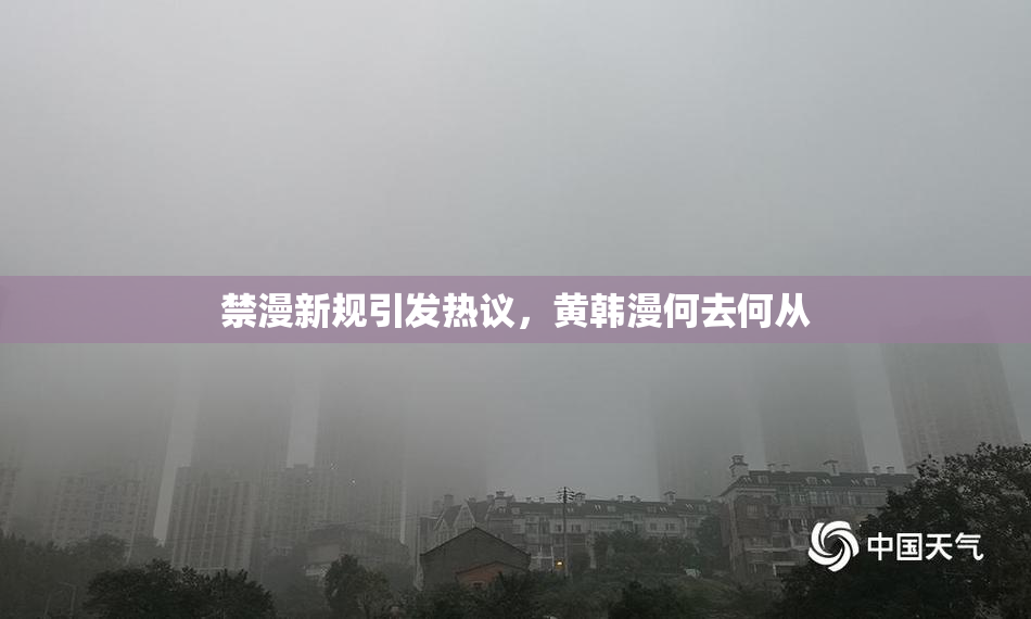 禁漫新规引发热议，黄韩漫何去何从