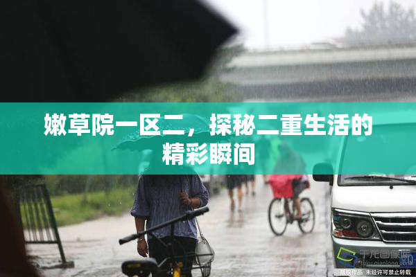 嫩草院一区二，探秘二重生活的精彩瞬间