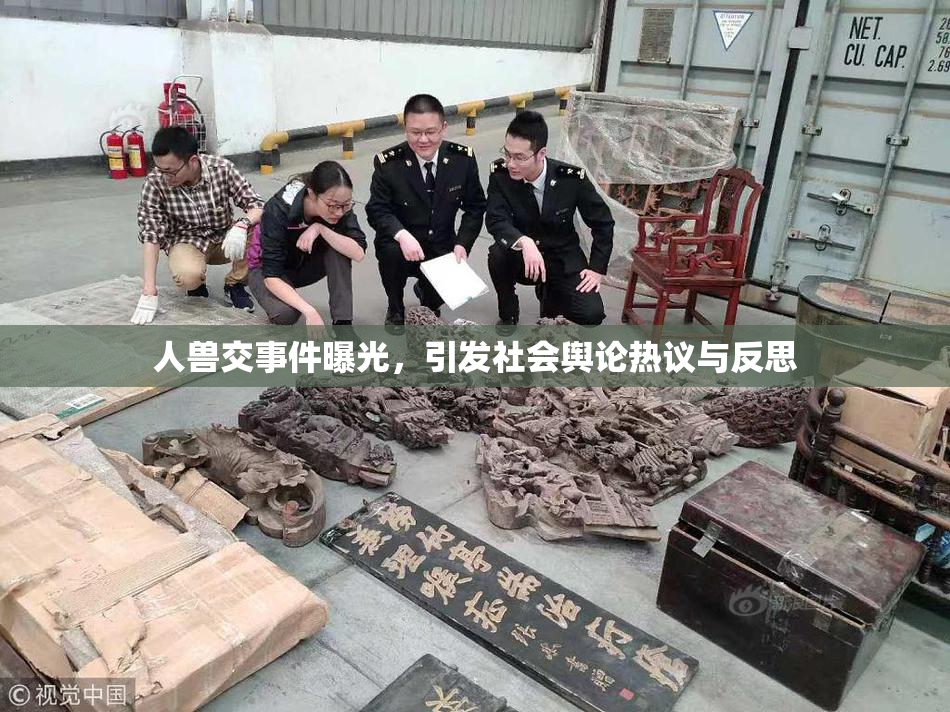 人兽交事件曝光，引发社会舆论热议与反思