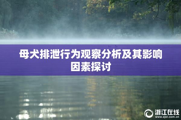 母犬排泄行为观察分析及其影响因素探讨