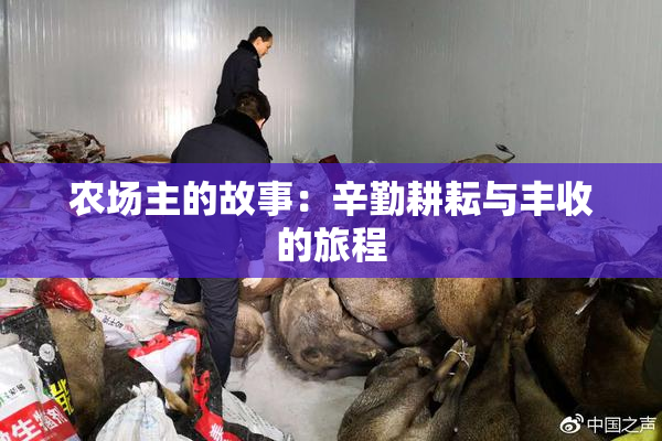 农场主的故事：辛勤耕耘与丰收的旅程