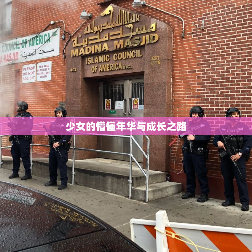 少女的懵懂年华与成长之路