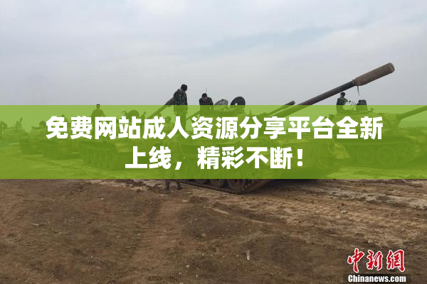 免费网站成人资源分享平台全新上线，精彩不断！