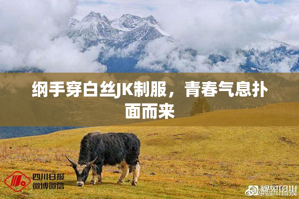 纲手穿白丝JK制服，青春气息扑面而来