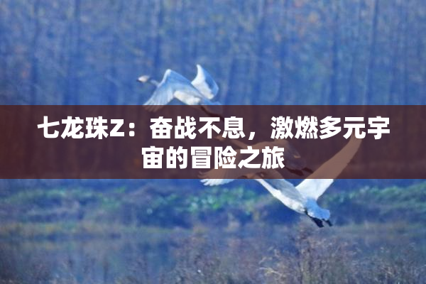 七龙珠Z：奋战不息，激燃多元宇宙的冒险之旅