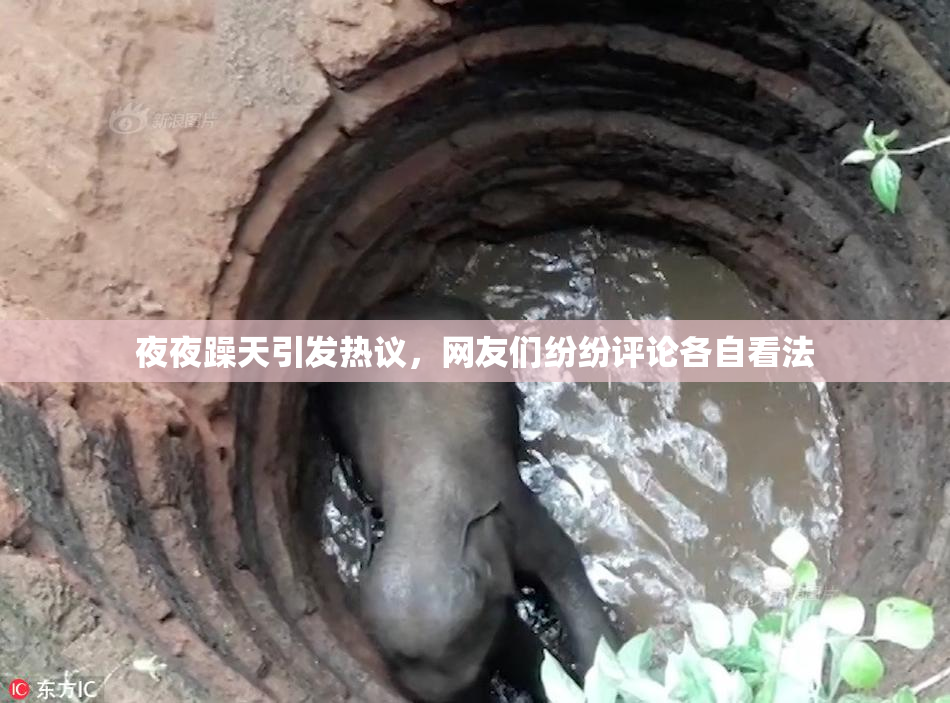 夜夜躁天引发热议，网友们纷纷评论各自看法