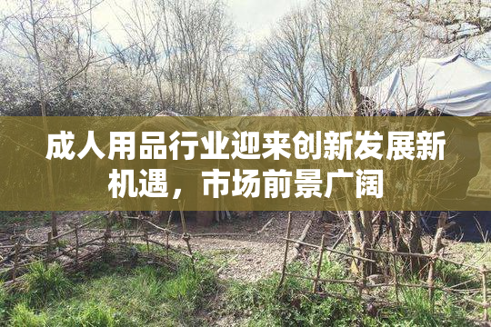 成人用品行业迎来创新发展新机遇，市场前景广阔