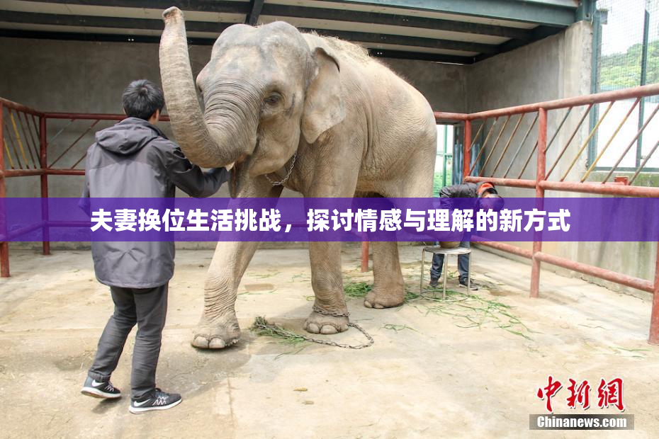 夫妻换位生活挑战，探讨情感与理解的新方式