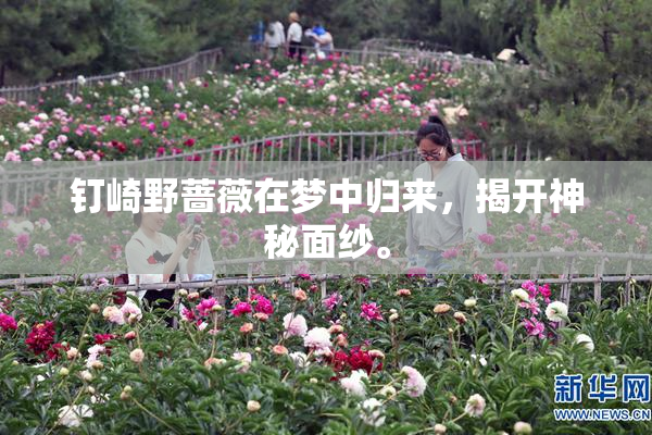钉崎野蔷薇在梦中归来，揭开神秘面纱。