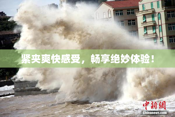 紧夹爽快感受，畅享绝妙体验！
