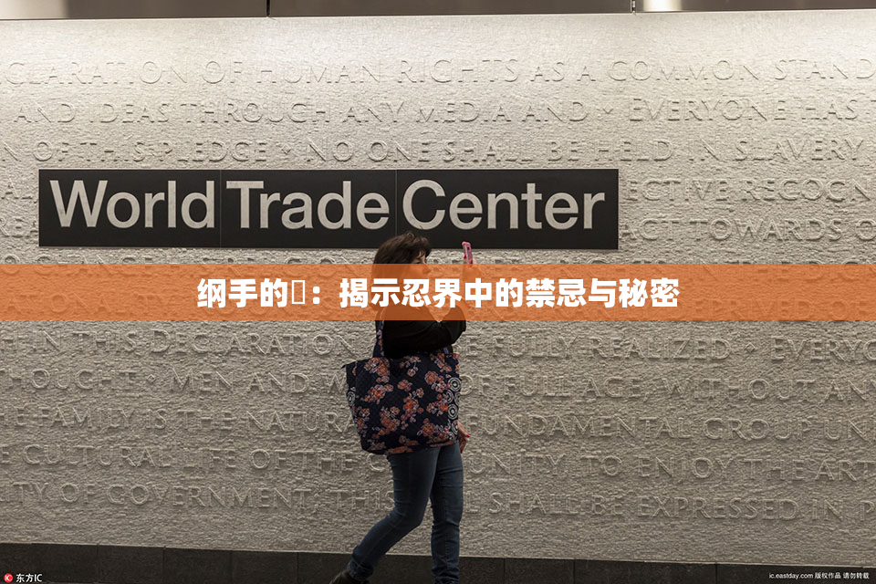 纲手的婬：揭示忍界中的禁忌与秘密