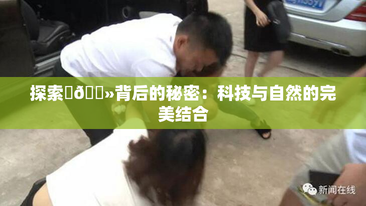 探索‌🐻背后的秘密：科技与自然的完美结合