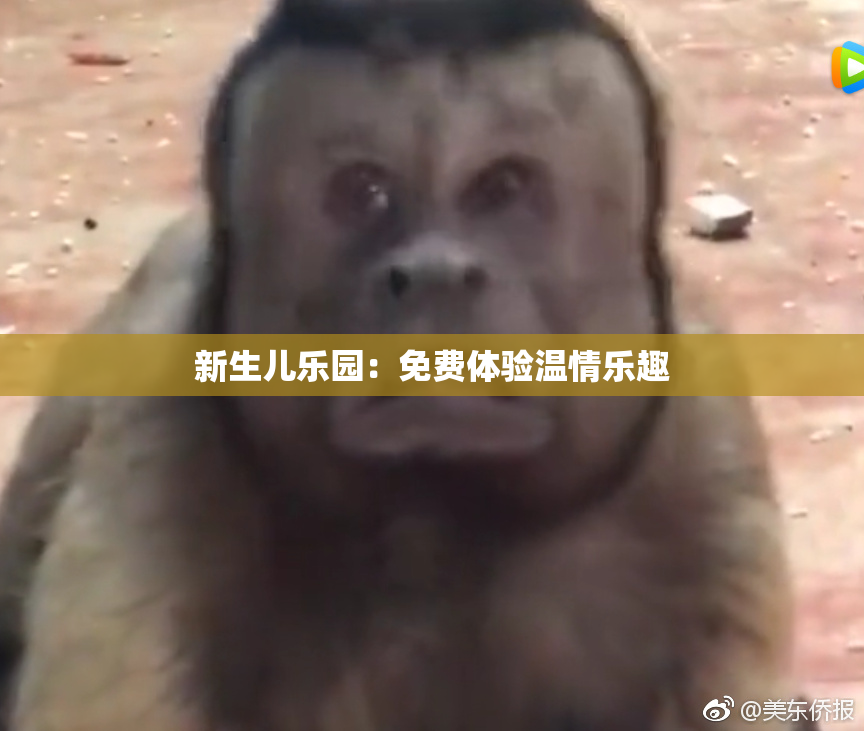 新生儿乐园：免费体验温情乐趣
