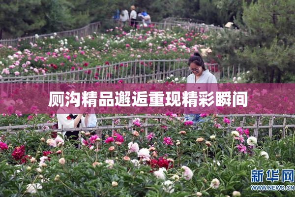 厕沟精品邂逅重现精彩瞬间