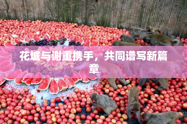 花城与谢重携手，共同谱写新篇章