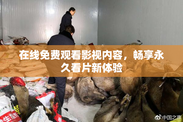 在线免费观看影视内容，畅享永久看片新体验