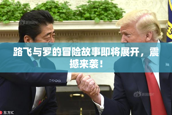 路飞与罗的冒险故事即将展开，震撼来袭！