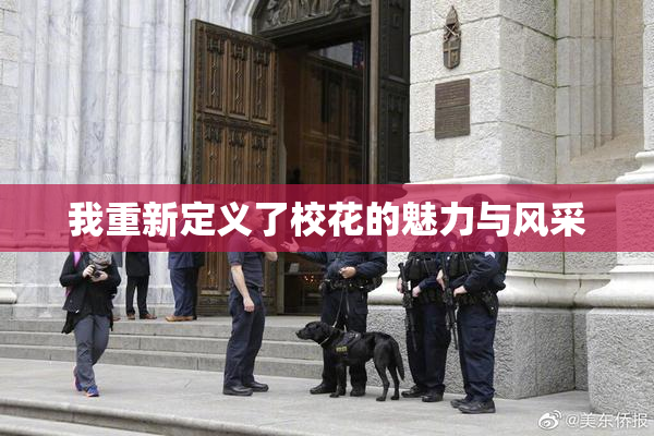 我重新定义了校花的魅力与风采
