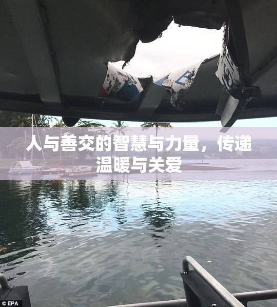 人与善交的智慧与力量，传递温暖与关爱