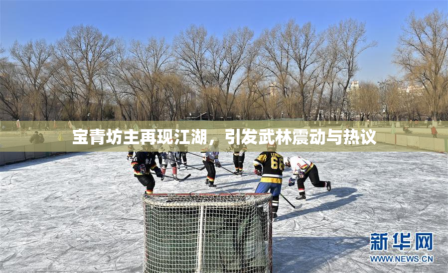 宝青坊主再现江湖，引发武林震动与热议