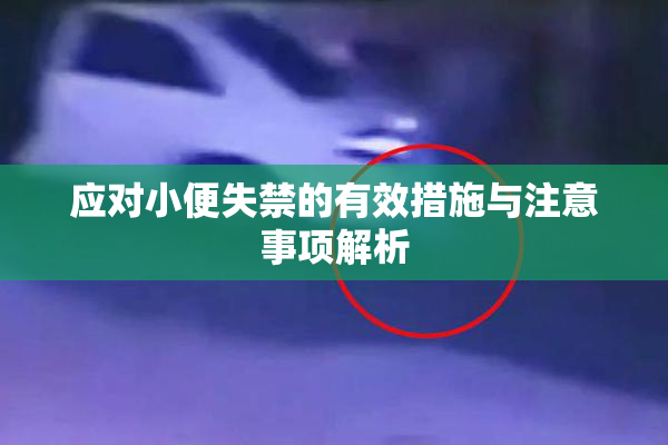 应对小便失禁的有效措施与注意事项解析