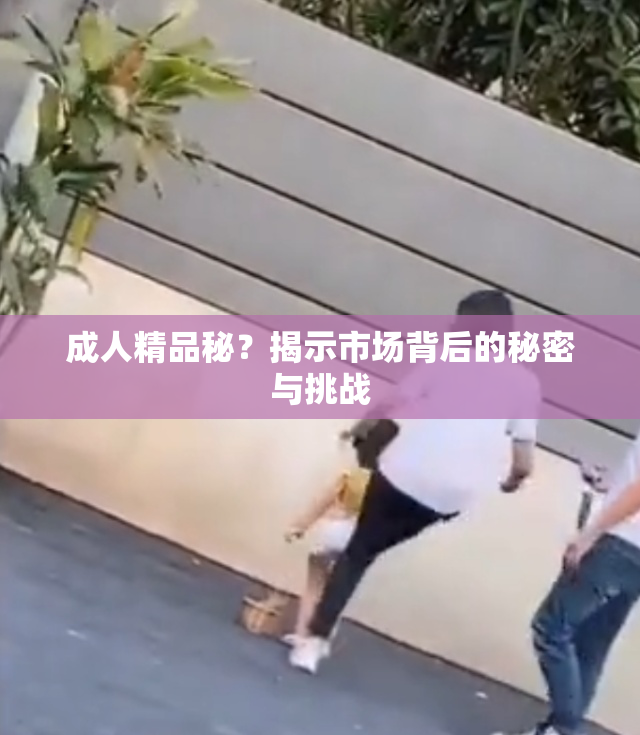 成人精品秘？揭示市场背后的秘密与挑战