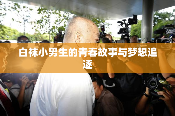 白袜小男生的青春故事与梦想追逐