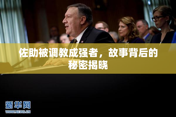 佐助被调教成强者，故事背后的秘密揭晓