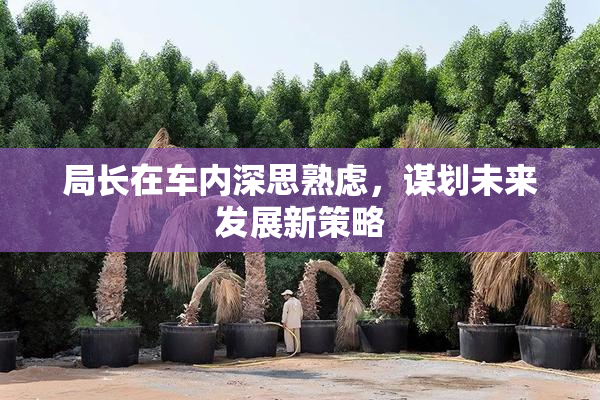 局长在车内深思熟虑，谋划未来发展新策略
