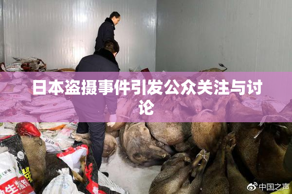 日本盗摄事件引发公众关注与讨论